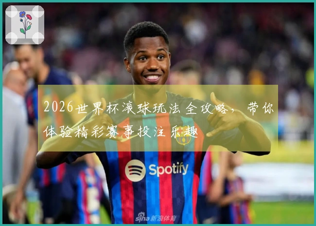 2026世界杯滚球玩法全攻略，带你体验精彩赛事投注乐趣
