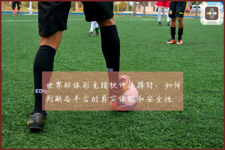 世界杯体彩竞猜软件选择时，如何判断各平台的真实体验和安全性