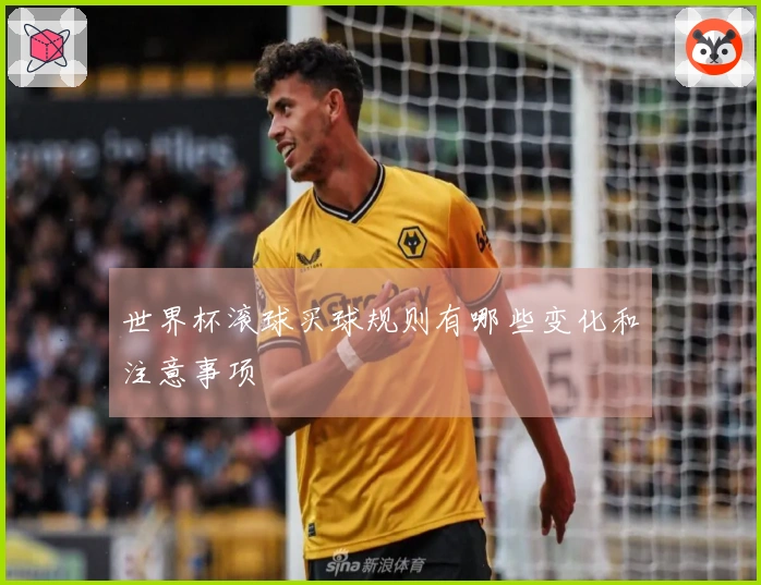 世界杯滚球买球规则有哪些变化和注意事项