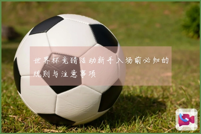 世界杯竞猜活动新手入场前必知的规则与注意事项