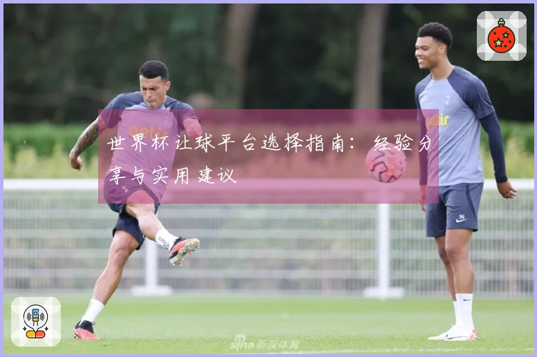 世界杯让球平台选择指南：经验分享与实用建议