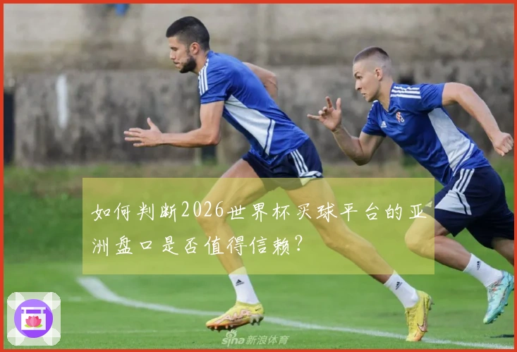如何判断2026世界杯买球平台的亚洲盘口是否值得信赖？