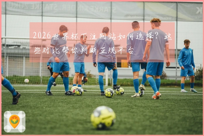 2026世界杯下注网站如何选择？这些对比帮你判断正规平台