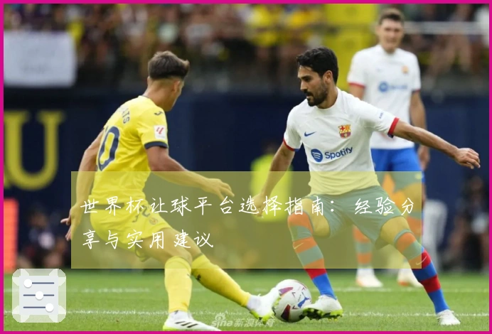 世界杯让球平台选择指南：经验分享与实用建议