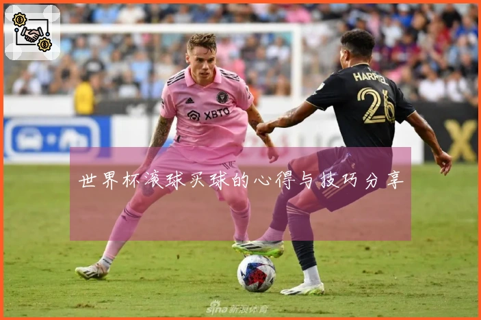 世界杯滚球买球的心得与技巧分享