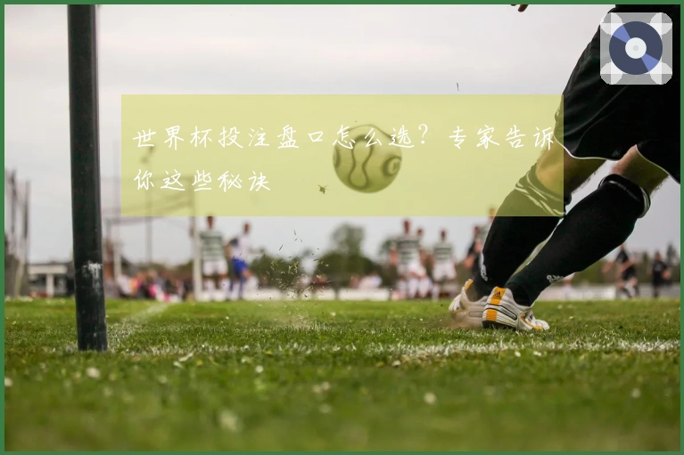 世界杯投注盘口怎么选？专家告诉你这些秘诀