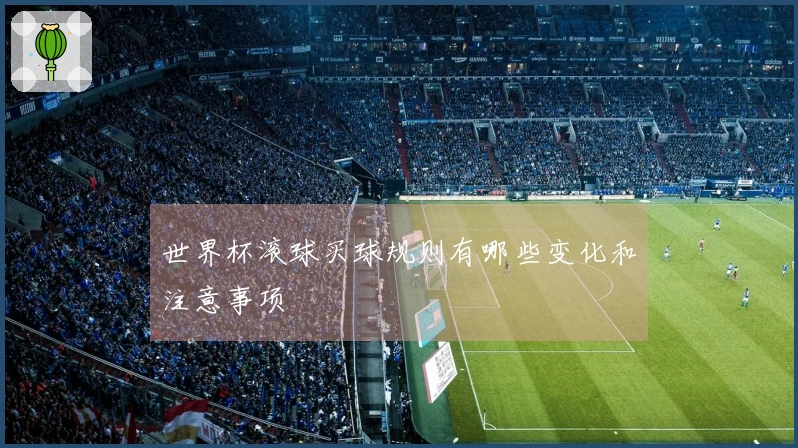世界杯滚球买球规则有哪些变化和注意事项
