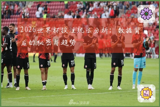 2026世界杯投注玩法分析：数据背后的秘密与趋势