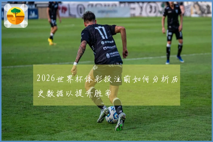 2026世界杯体彩投注前如何分析历史数据以提升胜率