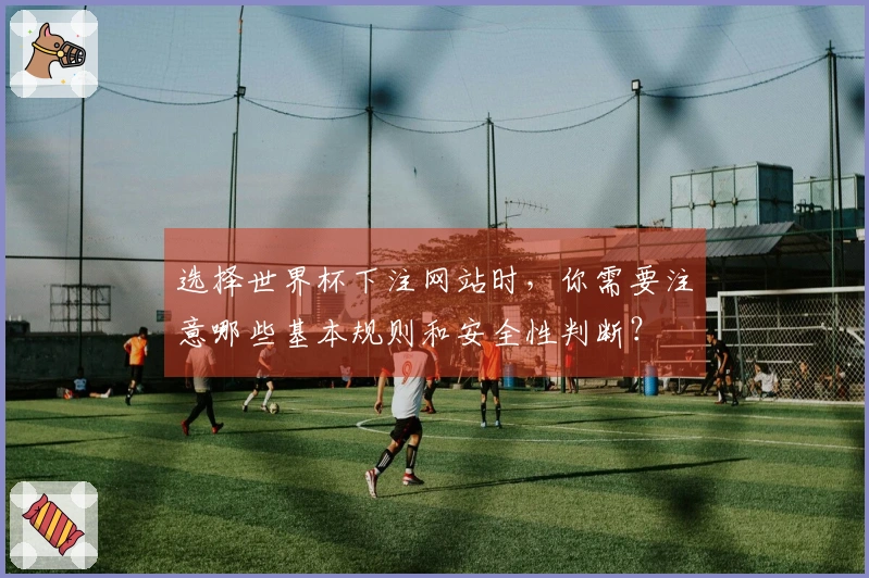 选择世界杯下注网站时，你需要注意哪些基本规则和安全性判断？