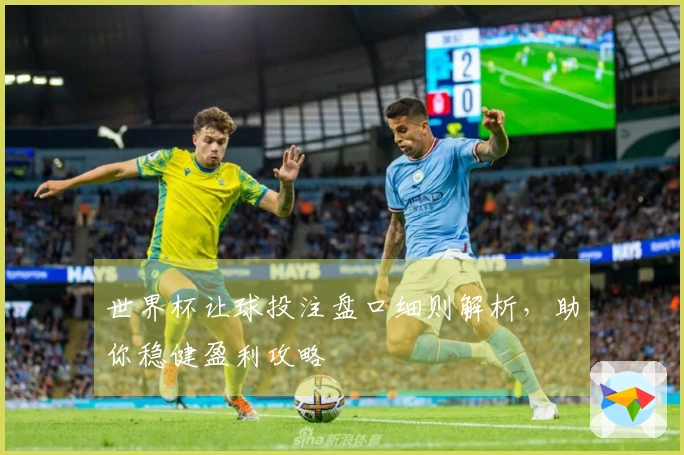 世界杯让球投注盘口细则解析，助你稳健盈利攻略