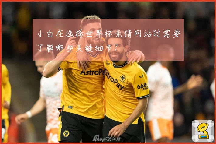 小白在选择世界杯竞猜网站时需要了解哪些关键细节？