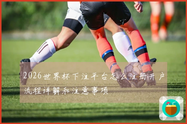 2026世界杯下注平台怎么注册开户流程详解和注意事项