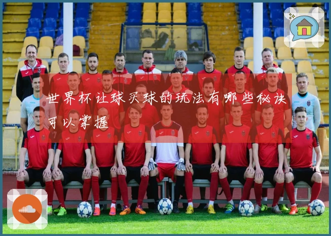 世界杯让球买球的玩法有哪些秘诀可以掌握
