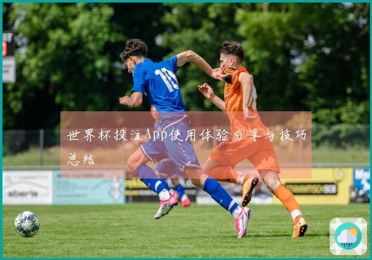 世界杯投注App使用体验分享与技巧总结