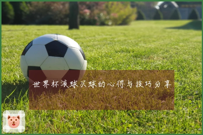 世界杯滚球买球的心得与技巧分享