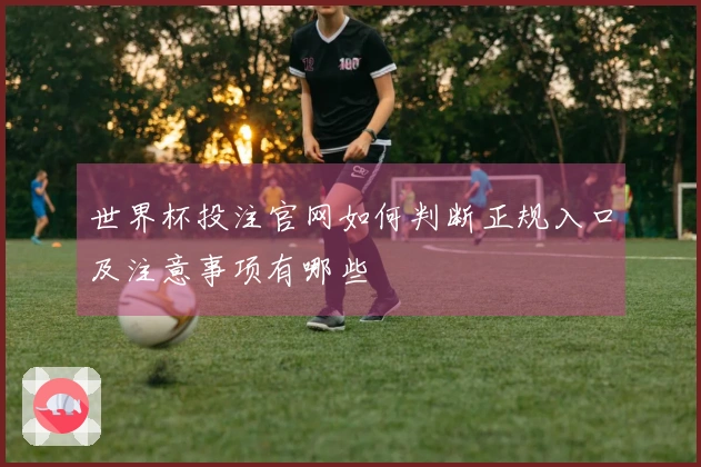 世界杯投注官网如何判断正规入口及注意事项有哪些