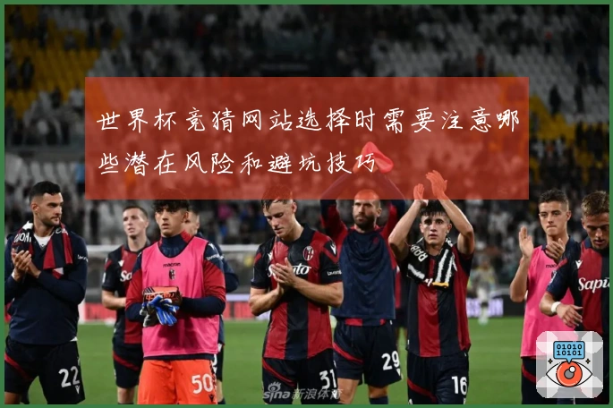 世界杯竞猜网站选择时需要注意哪些潜在风险和避坑技巧