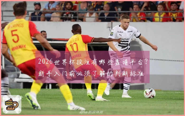 2026世界杯投注有哪些靠谱平台？新手入门前必须了解的判断标准