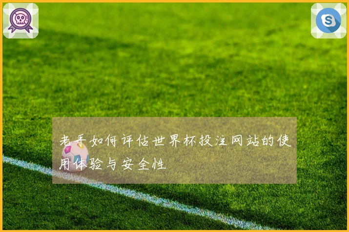 老手如何评估世界杯投注网站的使用体验与安全性