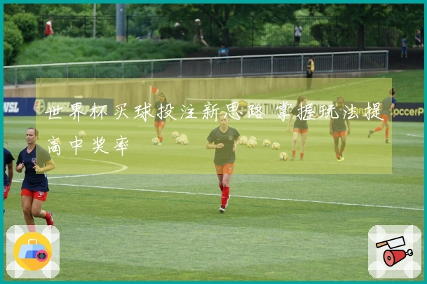世界杯买球投注新思路 掌握玩法提高中奖率