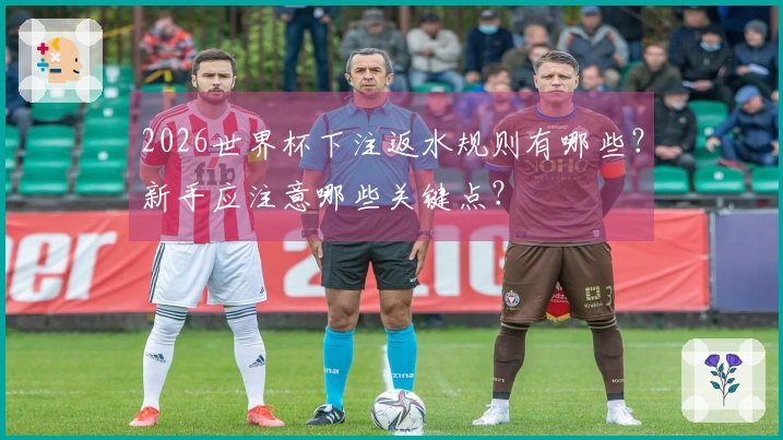 2026世界杯下注返水规则有哪些？新手应注意哪些关键点？