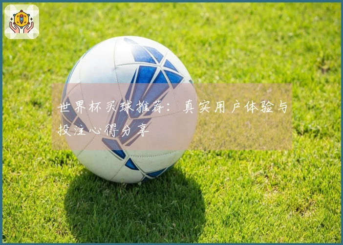 世界杯买球推荐：真实用户体验与投注心得分享