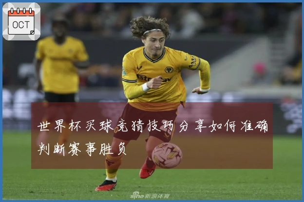 世界杯买球竞猜技巧分享如何准确判断赛事胜负