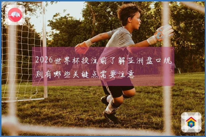 2026世界杯投注前了解亚洲盘口规则有哪些关键点需要注意