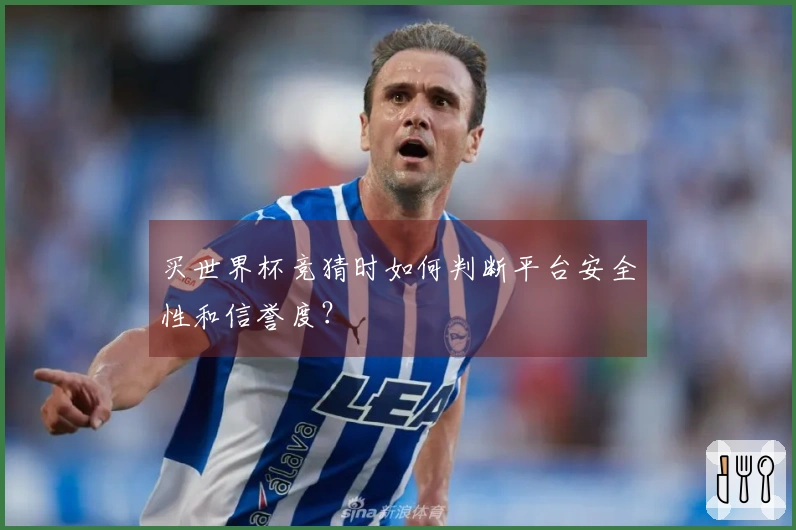 买世界杯竞猜时如何判断平台安全性和信誉度？