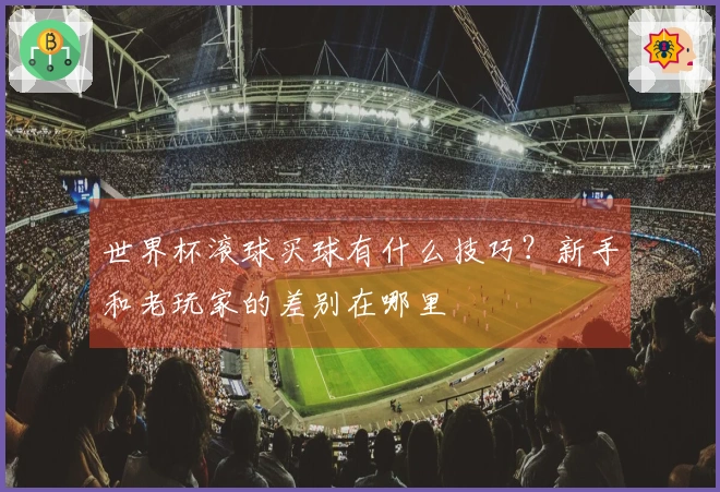 世界杯滚球买球有什么技巧？新手和老玩家的差别在哪里
