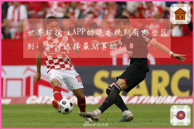 世界杯投注APP的返水规则有哪些区别，如何选择最划算的？