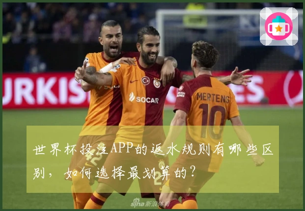世界杯投注APP的返水规则有哪些区别，如何选择最划算的？