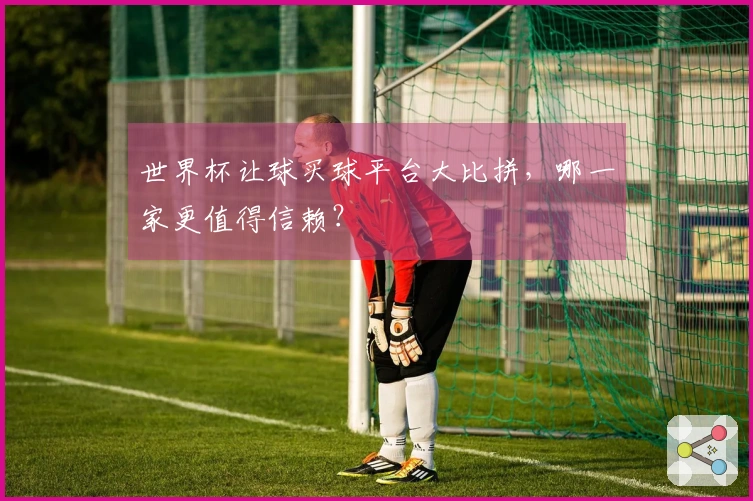 世界杯让球买球平台大比拼，哪一家更值得信赖？