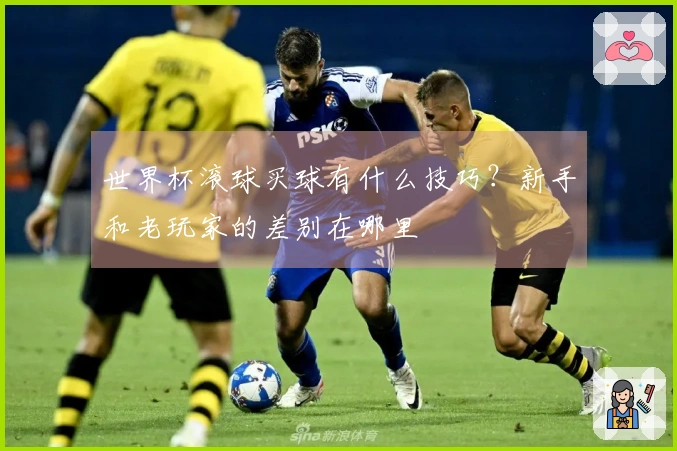 世界杯滚球买球有什么技巧？新手和老玩家的差别在哪里
