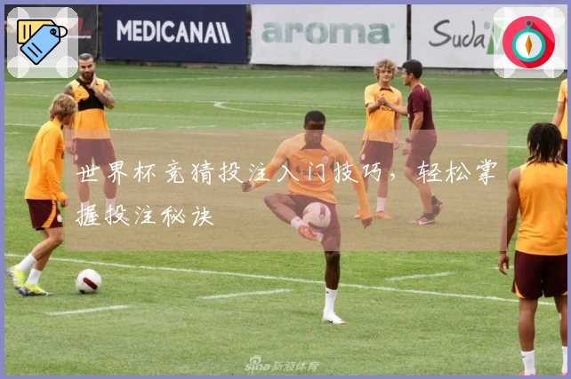 世界杯竞猜投注入门技巧，轻松掌握投注秘诀