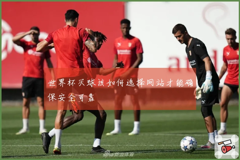 世界杯买球该如何选择网站才能确保安全可靠