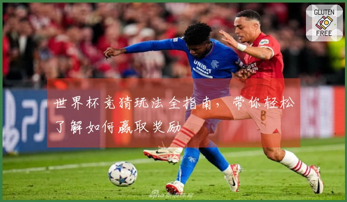 世界杯竞猜玩法全指南，带你轻松了解如何赢取奖励